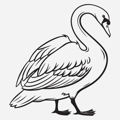 exclusive swan line art vector illustration