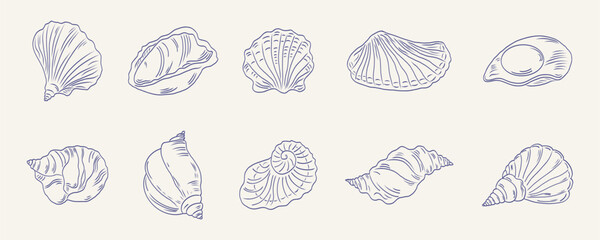 Hand drawn isolated vector set of seashells. Minimalist seafood sketch. Vintage summer illustrations for cafe, restaurant, menu, poster, prints, label, placard. Vector flat illustration.
