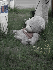 Black and white photo of abandoned teddy bear outdoors. Soft toy lying homeless in a vacant lot near the road.