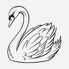 exclusive swan line art vector illustration © HM