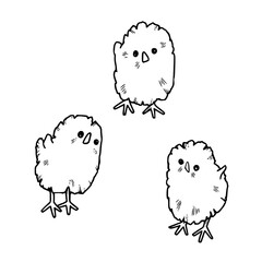 three cute chicks line art illustration