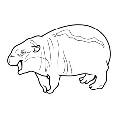 vector outline of a hippo