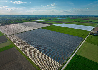 huge plastic covered asaragus fields in the fertile agricultural landscape of Langes Feld north of...