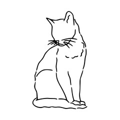 sketch of a standing cat