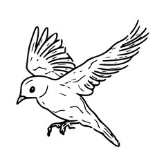 flying bird vector illustration