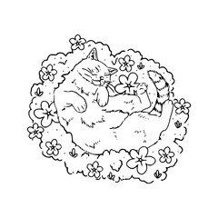 sketch of cat napping on flower bouquet