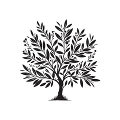 Laurel tree Silhouette - Laurel tree Vector - Laurel tree Design - Laurel tree Illustration.