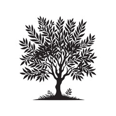 Laurel tree Silhouette - Laurel tree Vector - Laurel tree Design - Laurel tree Illustration.