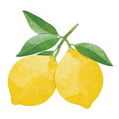 Lemon Design elements. watercolour style vector illustration.
