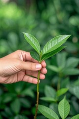 someone holding a small green leaf in their hand in front of a bush