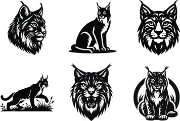 Elegant Iberian Lynx Cat Art, Great for Endangered Species Educational Materials