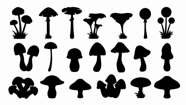 set of forest mushrooms silhouette vector on white background