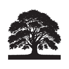 Black and White Linden Tree Vector - Linden tree minimalist Silhouette - Linden tree Illustration.