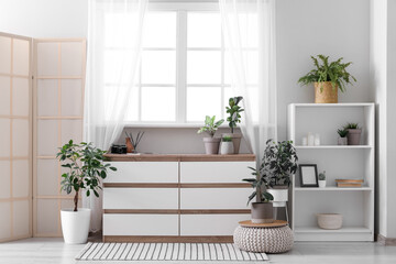 Interior of modern room with houseplants, window, shelving unit and chest of drawers
