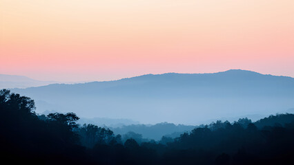Fototapeta premium Fog-covered mountain ranges layered in distance, silhouetted trees and soft pastel sky in the background