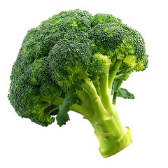 broccoli isolated on white
