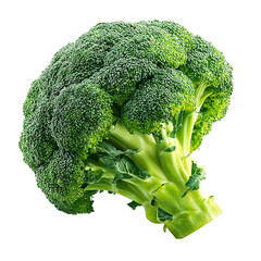 Head of broccoli with tight florets and vibrant green color, isolated PNG format, transparent background, high-resolution, suitable for stock image use --v 7.0