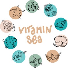 handgemaltes Muscheln und Seesterne Vektor Set mit Vitamin Sea handgeschrieben