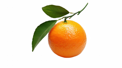 a single orange hanging branch with a green leaf on a transparent background, PNG image, PNG file, Generative art.
