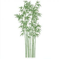Obraz premium bamboo