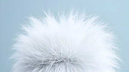 Obraz premium Fluffy White Pompom Against Light Gray Background