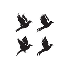 Set of Four Black Flying Bird Silhouettes on White Background