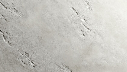 Obraz premium Light Grey Textured Concrete Wall Background