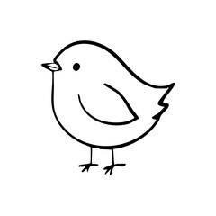 A cute little bird with a black beak and white feathers. It is standing on its two legs and looking up
