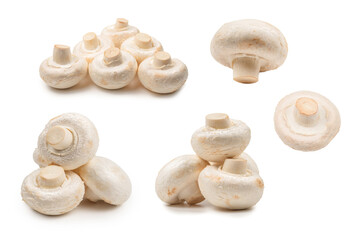 Champignon mushroom isolated on white background.