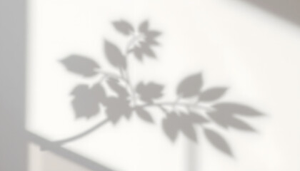 delicate silhouette of foliage dancing on a pristine white canvas. with white shades