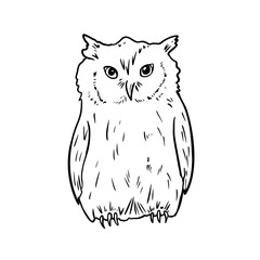 Owl hand drawn black white vector illustration. Snowy owl line art drawing for rustic winter and Christmas design. Eagle owl woodland animal monochrome sketch for storybook, zoo, and coloring.
