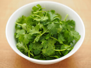 Freshly Harvested Cilantro Leaves in a Bowl, Perfect for Enhancing the Flavor of Homemade Dishes and Creative Culinary Recipes