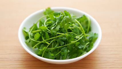 Freshly Harvested Cilantro Leaves in a Bowl, Perfect for Enhancing the Flavor of Homemade Dishes and Creative Culinary Recipes