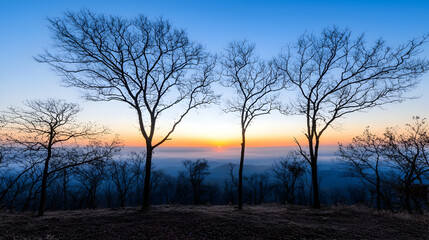 Fototapeta premium Sunrise Silhouette Trees Mountain Landscape