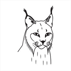 Iberian Lynx – Endangered Feline of Southern Europe