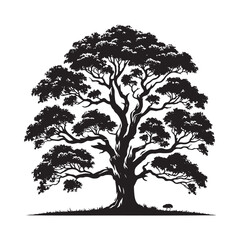 Mountain Ash Tree Silhouette - Tree Design - Minimalist Mountain ash Vector - Tree Black and White Illustration.