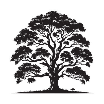 recommend clip art: Mountain Ash Tree Silhouette - Tree Design - Minimalist Mountain ash Vector - Tree Black and White Illustration.