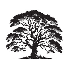 Mountain Ash Tree Silhouette - Tree Design - Minimalist Mountain ash Vector - Tree Black and White Illustration.