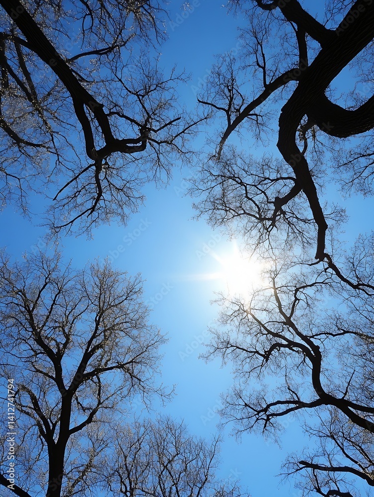 Aufkleber breathtaking view of the sky through branches of trees in bright daylight : generative ai