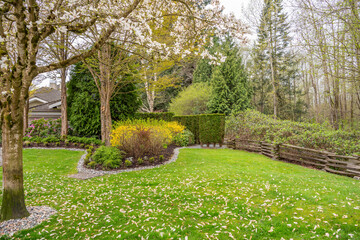 Two story stucco luxury house with nice spring blossom landscape in Vancouver, Canada, North America. Day time on April 2025.