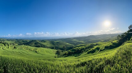 Obraz premium harmonious agricultural landscapes