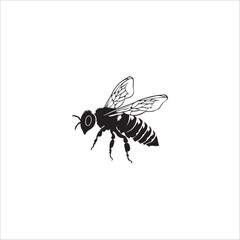 Obraz premium image of a bee from the side, black and white, graphics, vector 