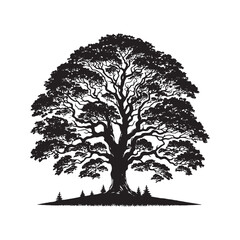 Minimalist tree Silhouette - Norway Maple Vector - Tree Illustration - Tree minimalist Design.