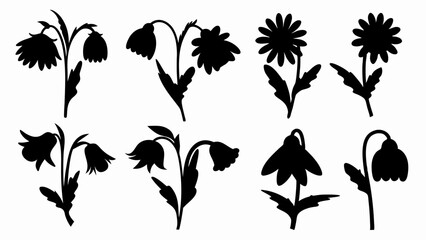 Fototapeta premium set chamomile silhouette vector on white background