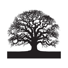 Tree Silhouette - Minimalist Osage Orange Tree Vector - Minimalist Osage Orange Tree Design.


