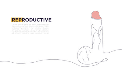 Continuous line drawing of simple Vector icon for penis