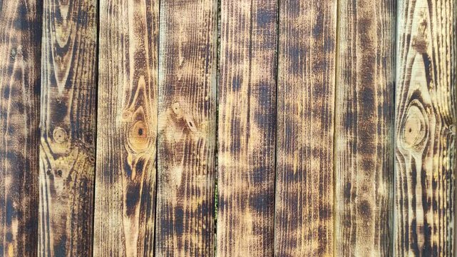 wood texture. burnt wood. wood fibers. beautiful boards. abstract white background.
