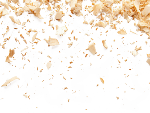 Fine sawdust particles lightly scattered across a white background, perfect for DIY and eco-friendly design