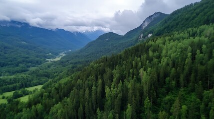 Fototapeta premium Stunning aerial view of lush green valleys and mountains surrounded by cloudy skies : Generative AI