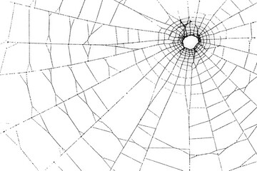 Detailed Spider Web Vector on Transparent Background with Intricate Design